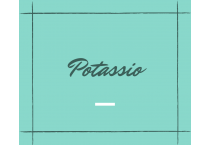 Potassio